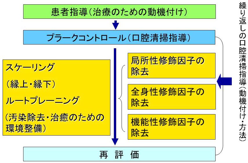 患者指導から再評価までのフロー