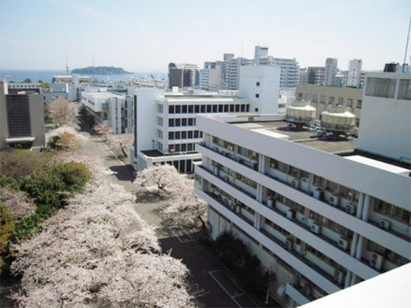 春の大学の風景