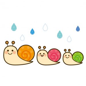 雨の中のかたつむり